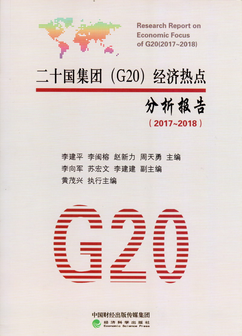 阴道根茎插入舒服吗二十国集团（G20）经济热点分析报告（2017-2018）